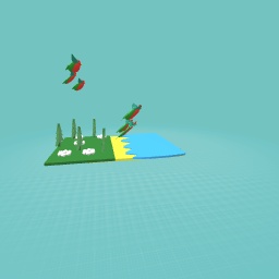 King Parrots