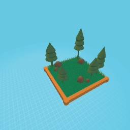 FOREST SCENE