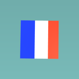 National flag of france