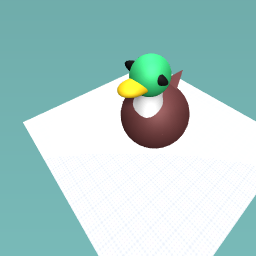 duck mallard