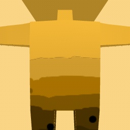 new costume