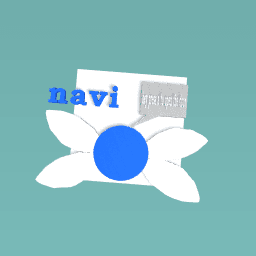 navi