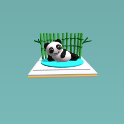 panda