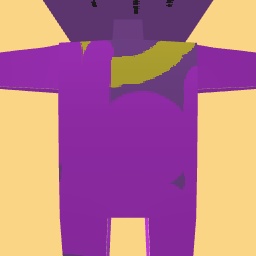 new costume