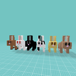 Minecraft all rabbit types!