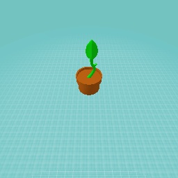 The start of a tree