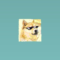 doge