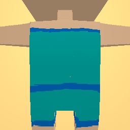 I tried to make a swim suit.