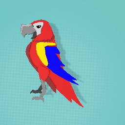 Parrot