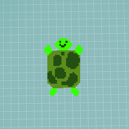 TurtleDude