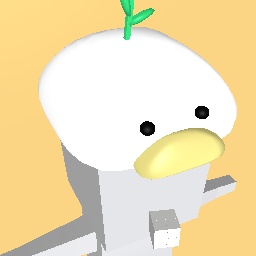 Duck hat UwU