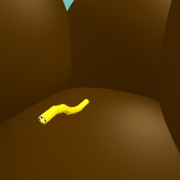 yellow takorm