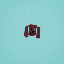 Brown poodle