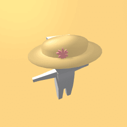 sun hat