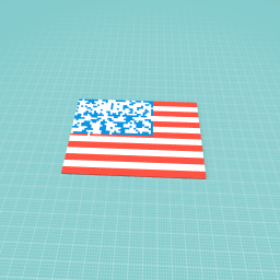 United States Flag