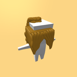 Brunnette high pony tail