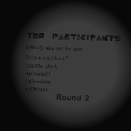 The participants(2)