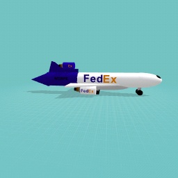 FEDEX FLIGHT 80 landing gear extended