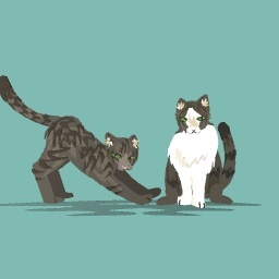 My kittiessssssss :3