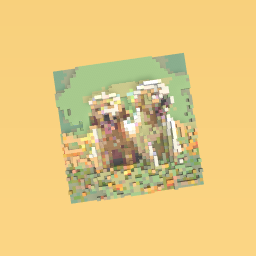 Golden retreiver pups