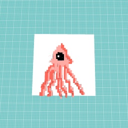Squid