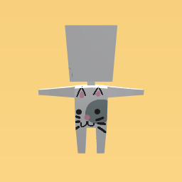 My cat outfit