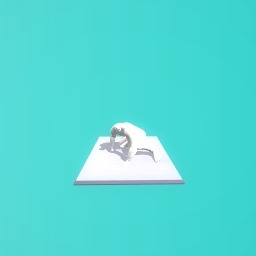 I TRULY BELIVE NINJAS CAN TELAPORT