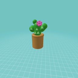 CACTUS!!