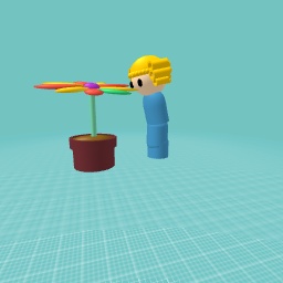 Ricitos semlling flowers