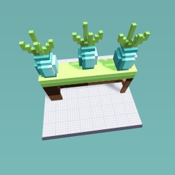 plants on a table