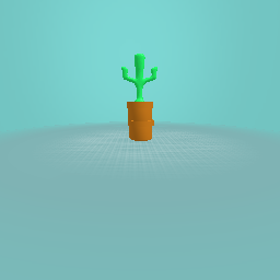 Cactus