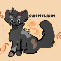 Swiftflight - warrior cats