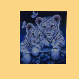 White Tiger Cubs