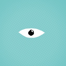 My first eye made