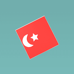 Turkeys flag