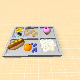 Lunch Tray 2