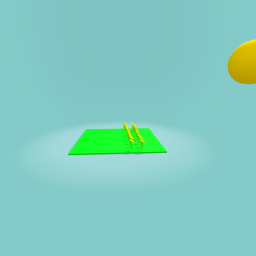 This is how my plants grow