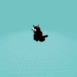 Bllak cat