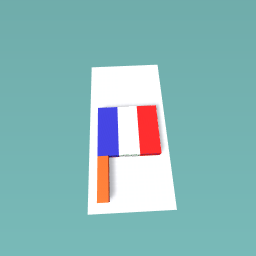A FRENCH flag