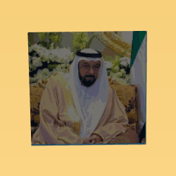 ﺪﻳاز ﺦﻴﺷ