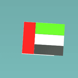 UAE flag