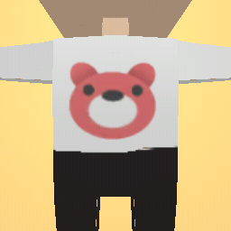 UwU cute bear clothes