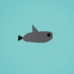 A basic shark