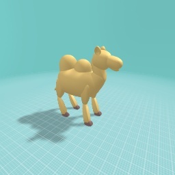 Camel