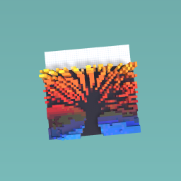 sunset tree