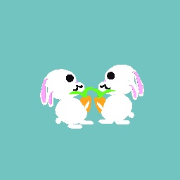 2 bunny’s