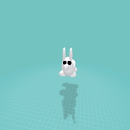 Bunny