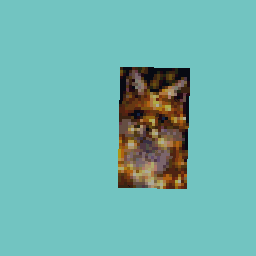 Foxy