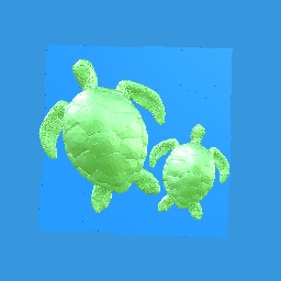 Turtle