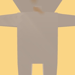 new costume